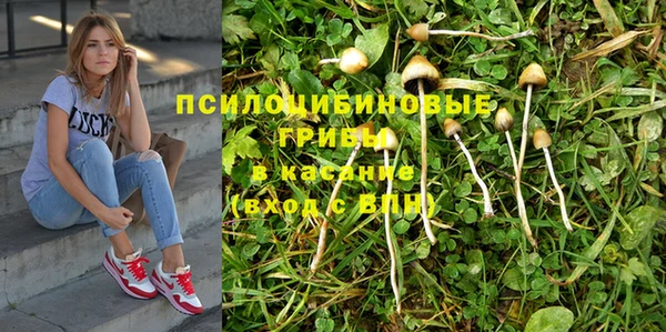 спиды Красноперекопск