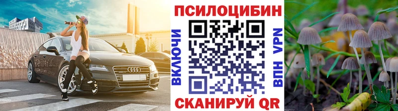 Галлюциногенные грибы Psilocybe  Купить где  Владикавказ 